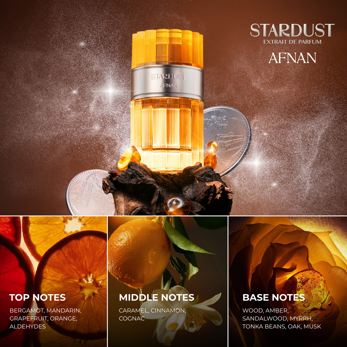 Stardust